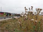 DSC05709